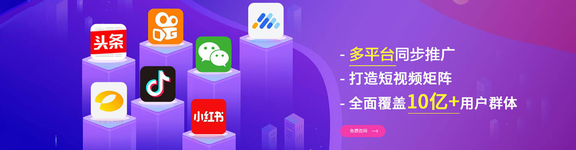 大树百度竞价托管